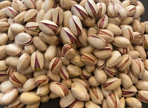 تصویر 1 از فروش پسته اکبری عمده + قیمت خرید به صرفه